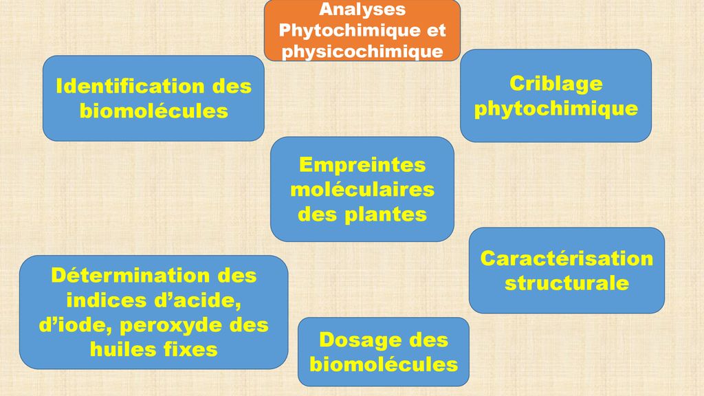 Champs Daction Et Bilan Des Productions Scientifiques Du Lcbosn Ppt